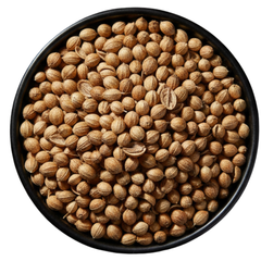 Sukha Dhaniya (Whole Coriander Seeds)